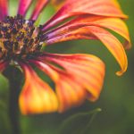 女子公车上被迫享受小说 sgnj8zz8